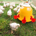 Automated Water Supply System for Chicken Coops with Level Detection