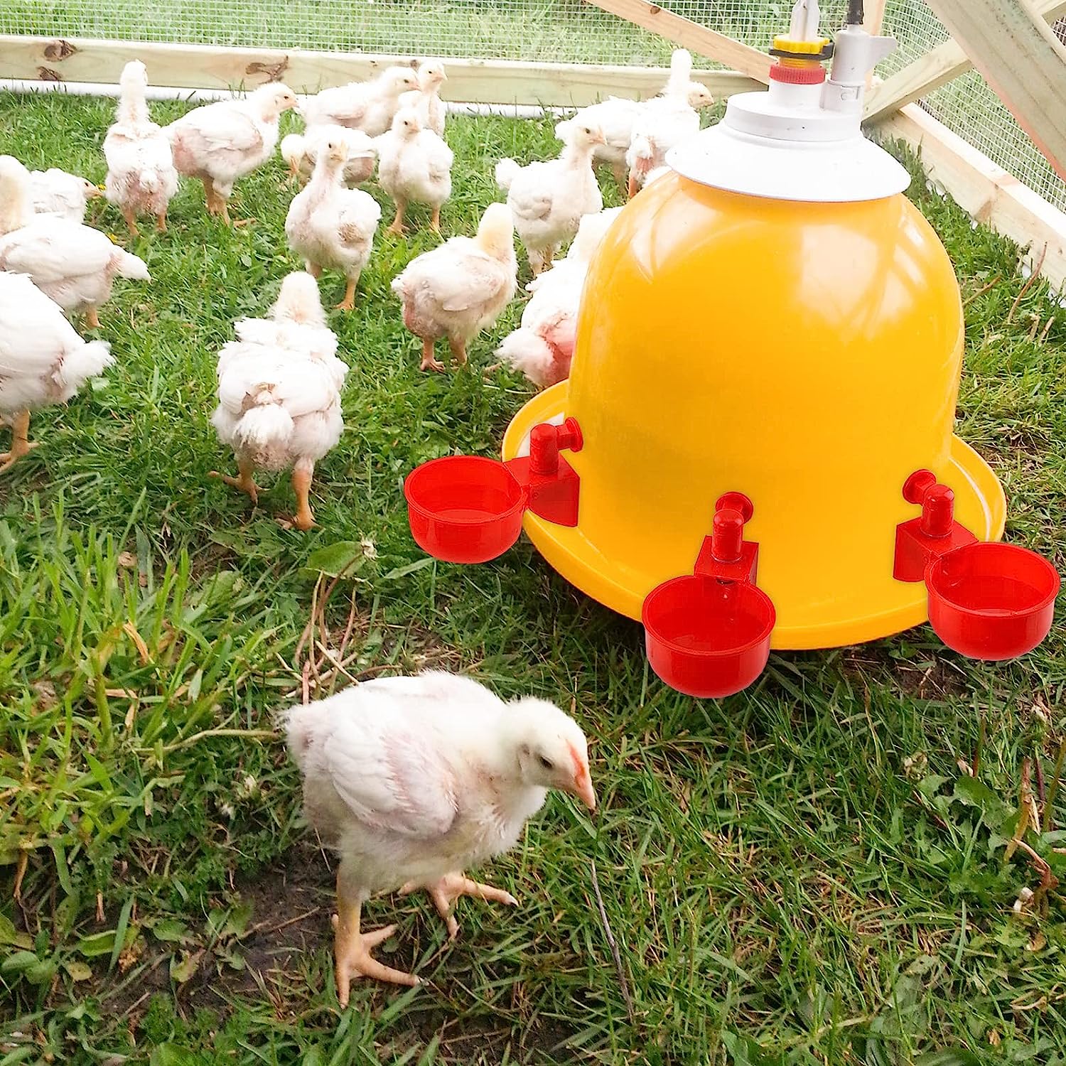 Automated Water Supply System for Chicken Coops with Level Detection