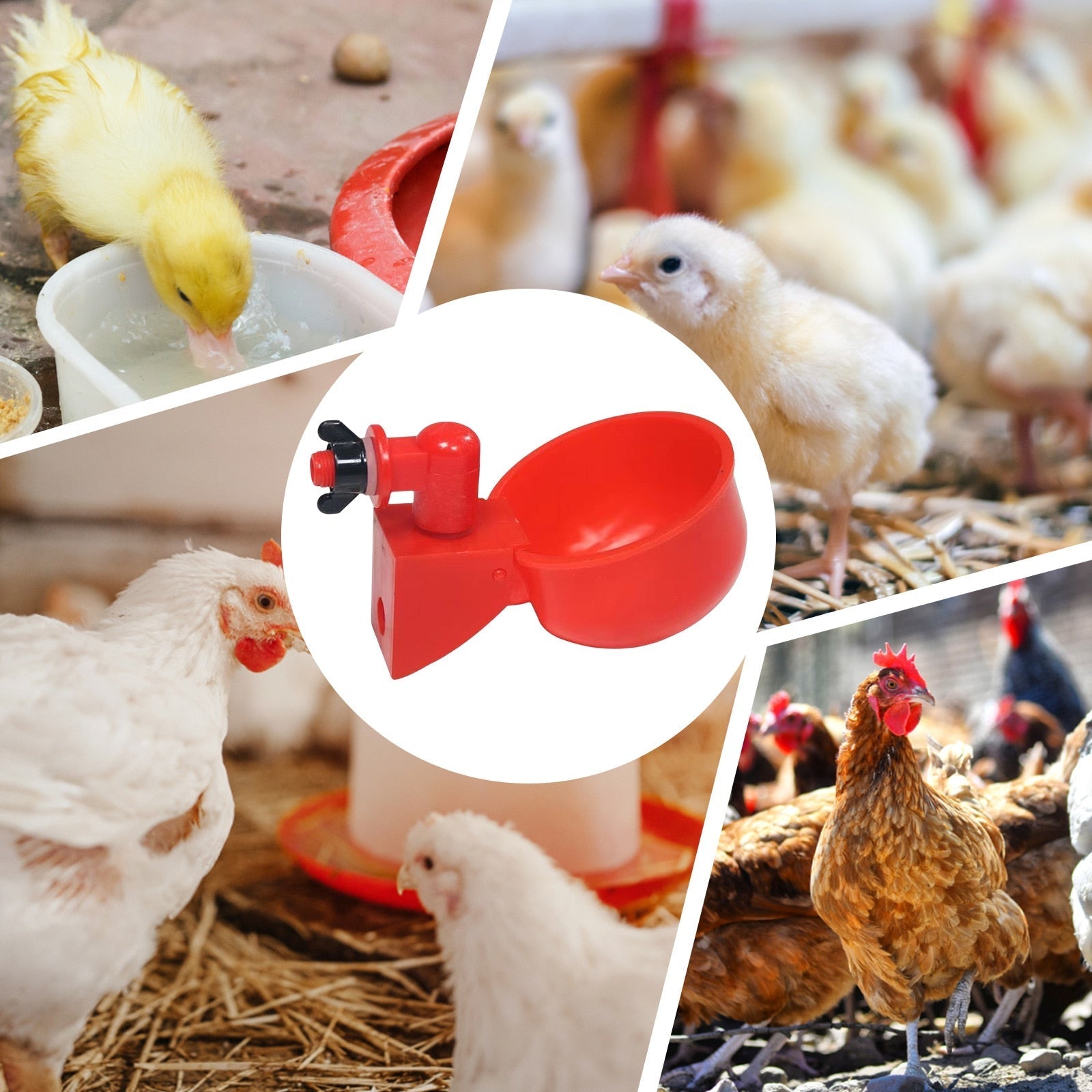 Automated Water Supply System for Chicken Coops with Level Detection