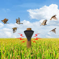 Waterproof Solar Bird Repellent Alarm - SolarSafe