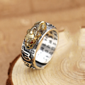 Wealth and Prosperity Feng Shui Ring 2023
