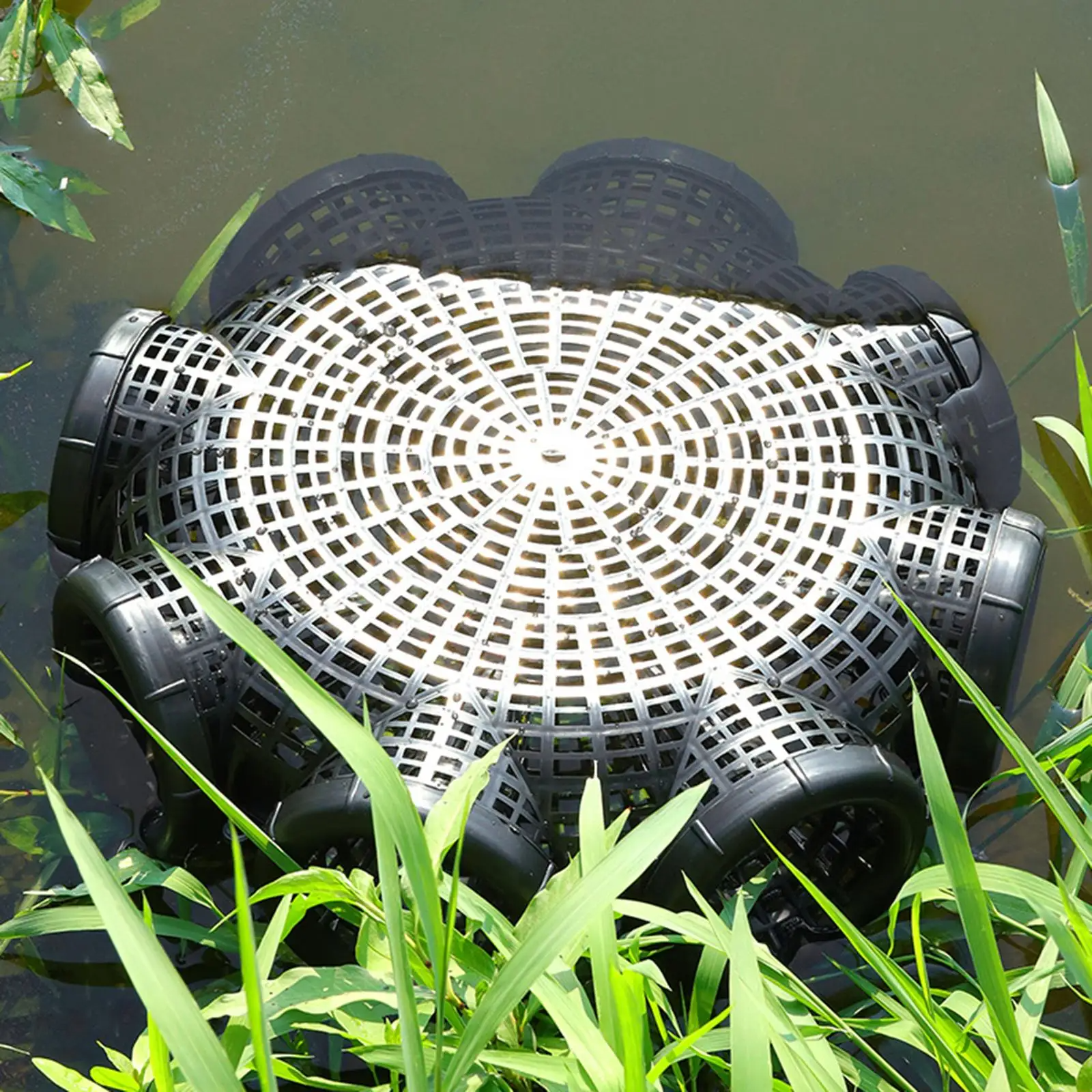 Premium 8-Hole Fishing Trap - Multifish