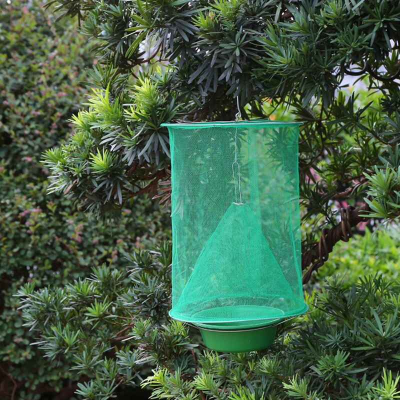 Easy-Install Fly Trap