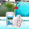 Pool Cleaning and Clarifying Capsules - Tablets Against Green Water
