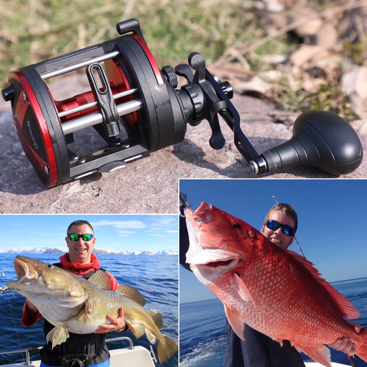 High-Profile Fishing Reel - 25kg Max Drag 3+1 Bearings - Sougayilang