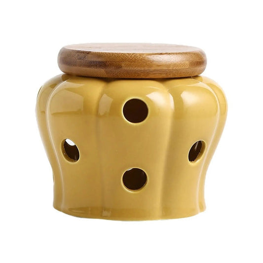 Ceramic Pot with Ventilated Lid