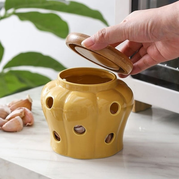Ceramic Pot with Ventilated Lid