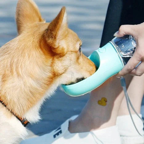 4-in-1 Portable Pet Bottle - PetWater