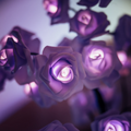 Everlasting Rose Tree Lamp - ForeverGlow
