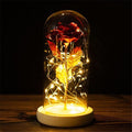 Everlasting Rose Lamp in Glass Dome - BloomLight