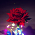 Everlasting Rose Lamp in Glass Dome - BloomLight