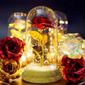 Everlasting Rose Lamp in Glass Dome - BloomLight