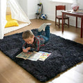 Modern Soft Plush Living Room Rug