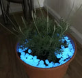 Glow Garden Stones - Magic Stone