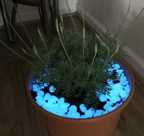 Glow Garden Stones - Magic Stone