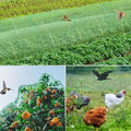 Anti-Bird Protection Netting for Garden and Plants