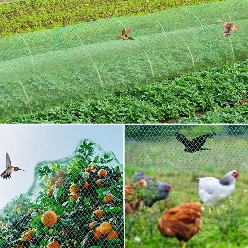 Anti-Bird Protection Netting for Garden and Plants