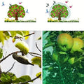 Anti-Bird Protection Netting for Garden and Plants