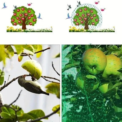 Anti-Bird Protection Netting for Garden and Plants