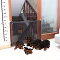 Retractable Safety Gate for Children and Pets - SafeGuard