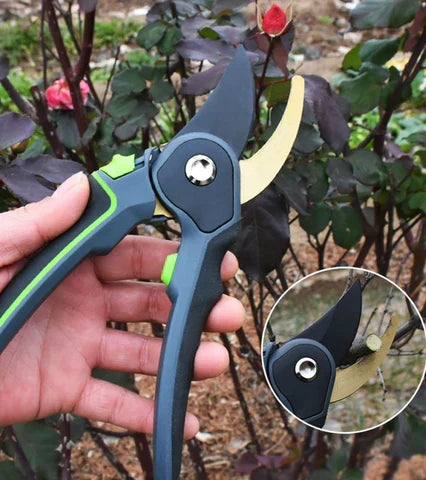 Professional Garden Pruning Shears