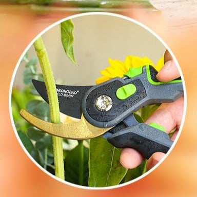 Professional Garden Pruning Shears