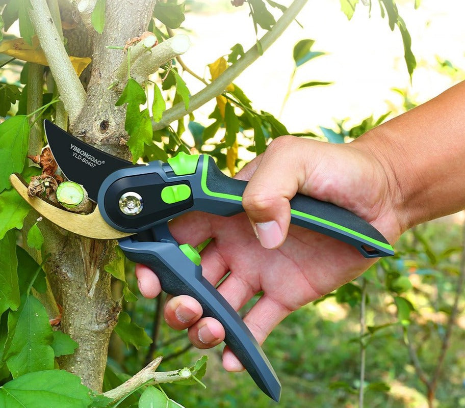 Professional Garden Pruning Shears