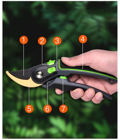 Professional Garden Pruning Shears