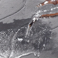 Thick Absorbent Anti-slip Quick-Drying and Dirt-Resistant Mat