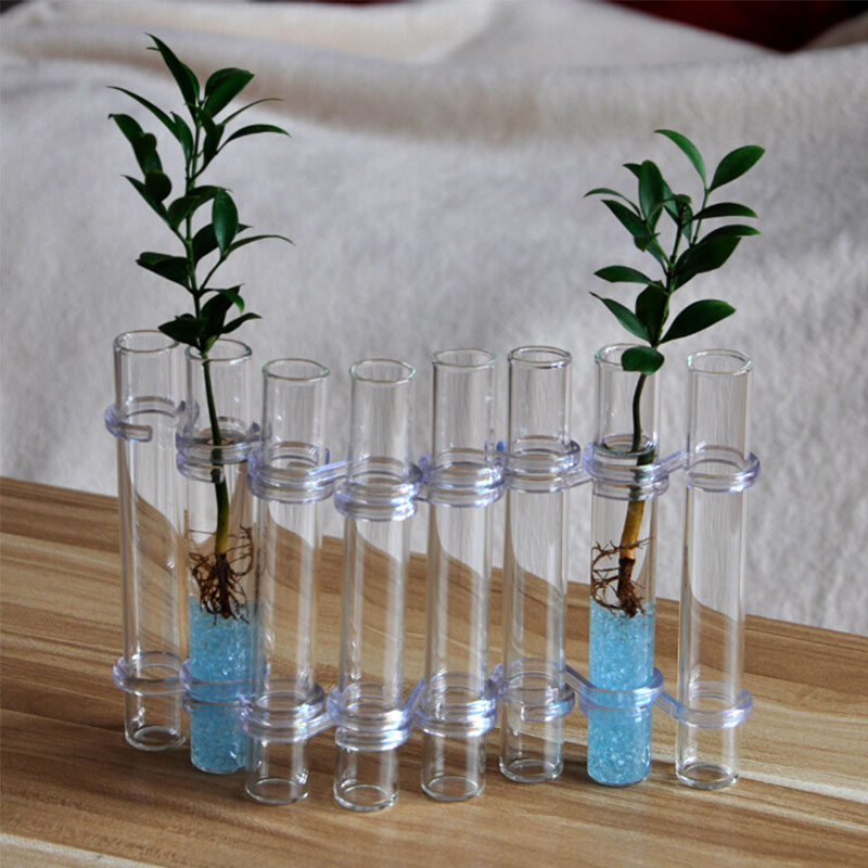 Adjustable Clear Glass Vase for Decor