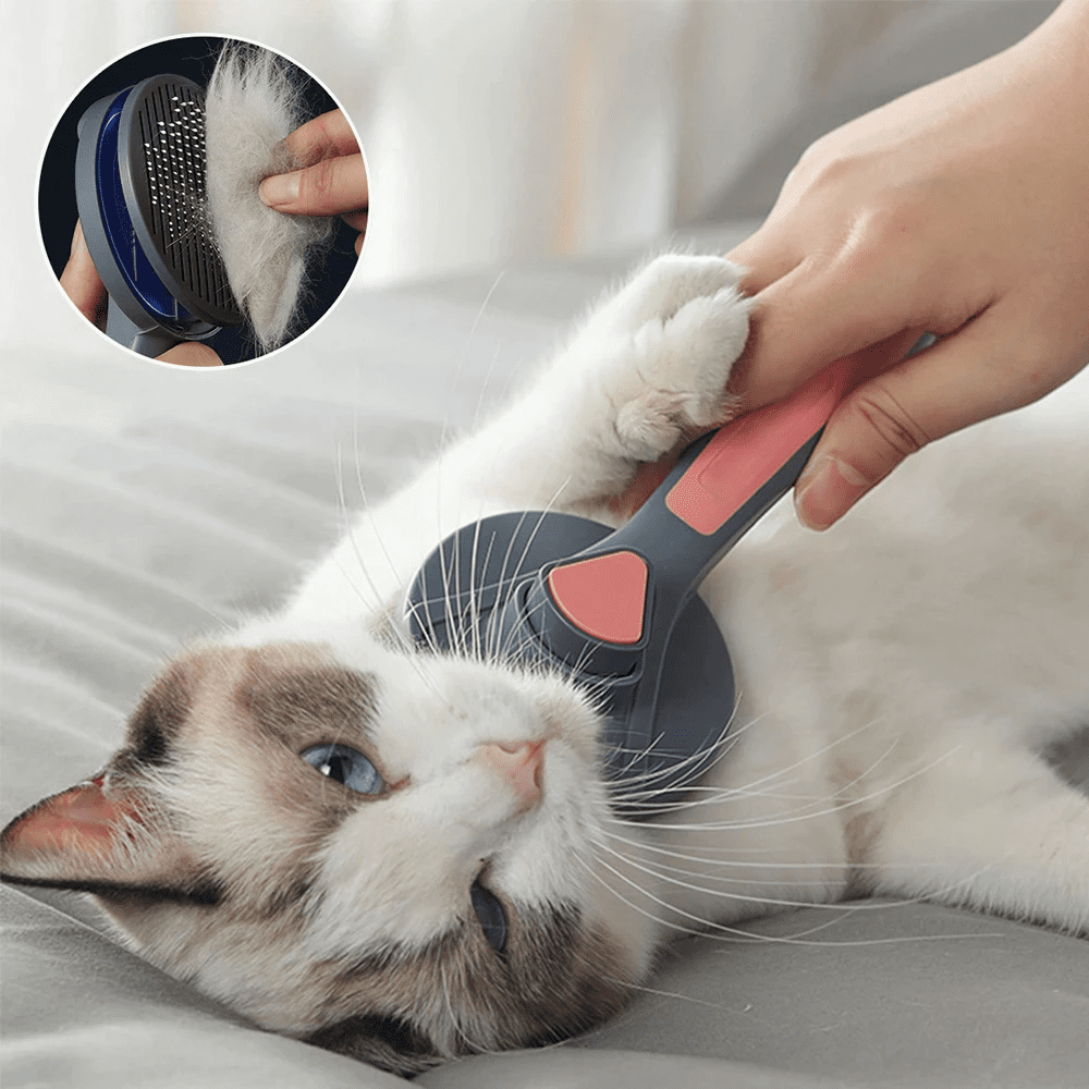 brush to remove dog hair, cat hair removal brush, dog hair remover, dog hair removal brush, cat hair remover, cat hair removal brush, pet hair remover for clothes, pet hair remover, best pet hair remover, hair removal brush shopee, clothes hair removal brush, cat hair removal brush