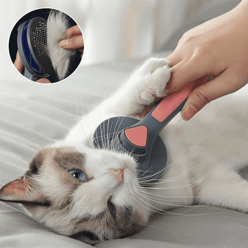 brush to remove dog hair, cat hair removal brush, dog hair remover, dog hair removal brush, cat hair remover, cat hair removal brush, pet hair remover for clothes, pet hair remover, best pet hair remover, hair removal brush shopee, clothes hair removal brush, cat hair removal brush
