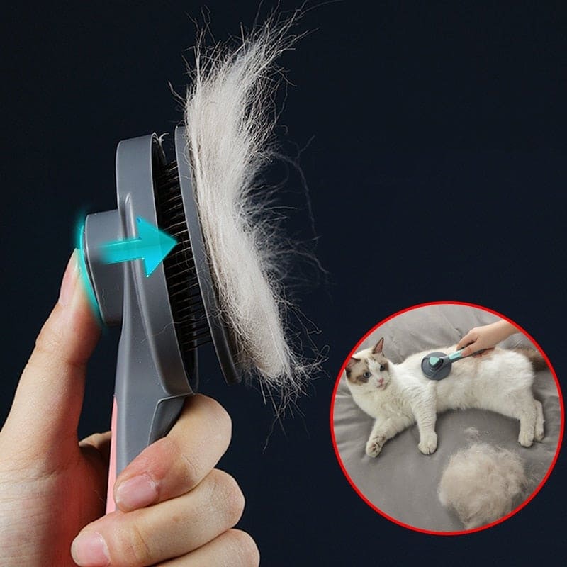 brush to remove dog hair, cat hair removal brush, dog hair remover, dog hair removal brush, cat hair remover, cat hair removal brush, pet hair remover for clothes, pet hair remover, best pet hair remover, hair removal brush shopee, clothes hair removal brush, cat hair removal brush