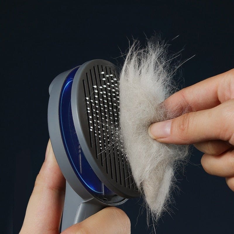brush to remove dog hair, cat hair removal brush, dog hair remover, dog hair removal brush, cat hair remover, cat hair removal brush, pet hair remover for clothes, pet hair remover, best pet hair remover, hair removal brush shopee, clothes hair removal brush, cat hair removal brush