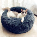 cheap cat beds, cat bed, cat bed, large dog bed, dog bed, pet bed, cat bed, dog bed, dog bed, dog bed, pet bed, cloud bed, cloud pet bed, cloud pet bed, cloud bed, small dog bed price, cheap dog bed free delivery, luxury pet beds, sturdy large breed dog beds