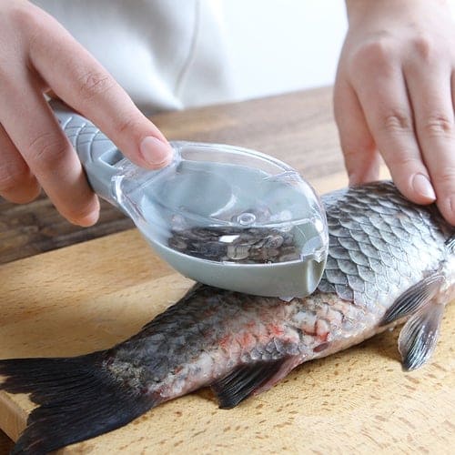 fish scale remover, remove fish scales, remove fish scales, fish scale remover, how to remove fish scales