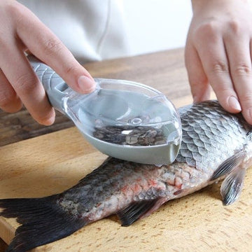 fish scale remover, remove fish scales, remove fish scales, fish scale remover, how to remove fish scales