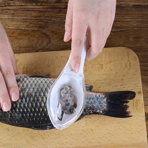 fish scale remover, remove fish scales, remove fish scales, fish scale remover, how to remove fish scales
