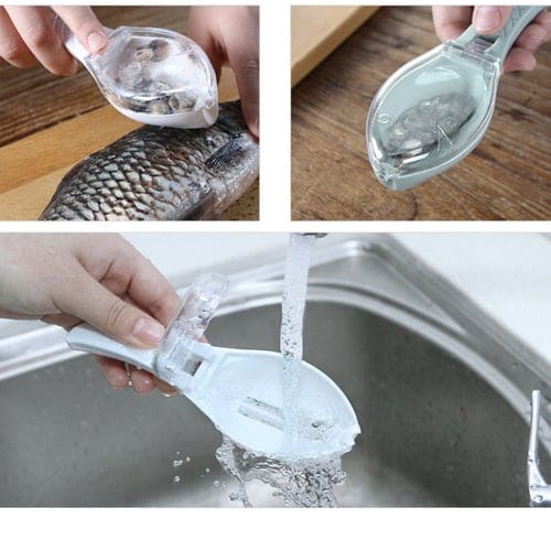 fish scale remover, remove fish scales, remove fish scales, fish scale remover, how to remove fish scales